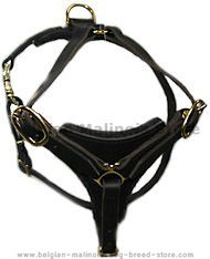 BELGIAN MALINOIS Dog Walking Harness H3 BELGIAN MALINOIS Dog Walking Harness H3