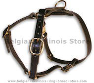 BELGIAN MALINOIS Leather Dog Harness H7 for walking and tracking BELGIAN MALINOIS Leather Dog Harness H7 for walking and tracking