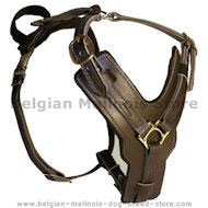 BELGIAN MALINOIS Padded Dog Harness H10 BELGIAN MALINOIS Padded Dog Harness H10
