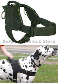 Best Dog Training Harness for BELGIAN MALINOIS-Working Harness Best Dog Training Harness for BELGIAN MALINOIS-Working Harness