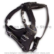 BELGIAN MALINOIS Control Dog Harness - H1 BELGIAN MALINOIS Control Dog Harness - H1