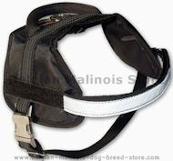 Buy Dog Harness - SMALL/MEDIUM Nylon Dog Harness for Malinois Buy Dog Harness - SMALL/MEDIUM Nylon Dog Harness for Malinois