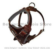 Comfort Padded Dog Harness for Belgian malinois Comfort Padded Dog Harness for Belgian malinois