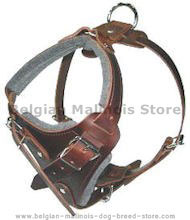 Dog Body Harness for Belgian malinois-BEST Leather Dog Harness Dog Body Harness for Belgian malinois-BEST Leather Dog Harness
