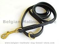 Flat Leather Leash 1/2 inch w/h solid brass for Belgian Malinois Flat Leather Leash 1/2 inch w/h solid brass for Belgian Malinois