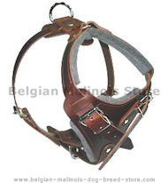 SIMILAR to Gappay Leather Defense Harness for Belgian Malinois SIMILAR to Gappay Leather Defense Harness for Belgian Malinois