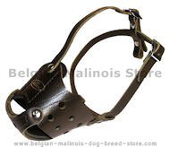 Latigo Safety Muzzle for Belgian Malinois Latigo Safety Muzzle for Belgian Malinois