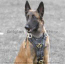 Belgian Malinois dog Harness,Padded harness ,great for agiAGITATION HARNESS NEW' SOLID BRASS BUCKLES / GSD MALINOIStation work or hard pullers while tracking ,Harness with the perfect fit for Malinois of all sizes! Belgian Malinois dog Harness,Padded harness ,great for agiAGITATION HARNESS NEW' SOLID BRASS BUCKLES / GSD MALINOIStation work or hard pullers while tracking ,Harness with the perfect fit for Malinois of all sizes !