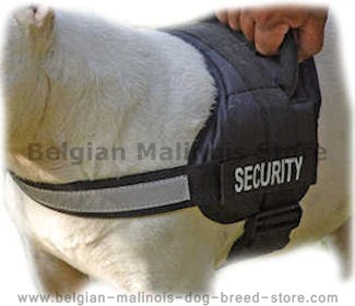 Reflective NYLON DOG HARNESS,Harness for Siberian Husky