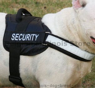 Reflective NYLON DOG HARNESS,Harness for Siberian Husky