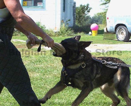 Best Puppy Bite Rag with handle for PUPPY Training