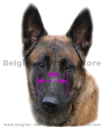 Please spend 3 minutes to size your dog to get best dog muzzle