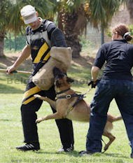 Bite Protection Sleeve - X-Sleeve for dog training