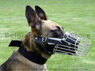 Basket wire dog muzzle perfect for Malinois-FULL PADDED MUZZLE Basket wire dog muzzle perfect for Malinois-FULL PADDED MUZZLE
