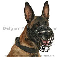 Malinois Wire Dog Muzzle -Malinois COVERED BY BLACK RUBER M10 Malinois Wire Dog Muzzle -Malinois COVERED BY BLACK RUBER M10