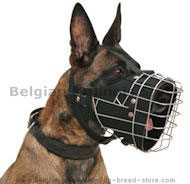 Belgian Malinois Full Padded Wire Dog Muzzle -Police Wire Muzzle Belgian Malinois Full Padded Wire Dog Muzzle -Police Wire Muzzle