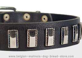 Ornament Dog Collar made of leather for Belgian Malinois Ornament Dog Collar made of leather for Belgian Malinois