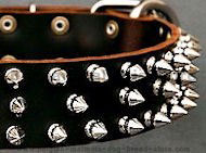 Protector Full Spiked Latigo Dog Collar for Belgian Malinois Protector Full Spiked Latigo Dog Collar for Belgian Malinois