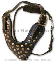 Two-Ply Latigo Dog Harness with Studs for Belgian Malinois Two-Ply Latigo Dog Harness with Studs for Belgian Malinois