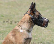 Leather dog muzzle* Dondi