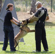 Schutzhund And Sport Bite Sleeve,Bite Sleeves Ideal For Schutzhud And Sport Training,2008 Bite Protection Sleeve - X-Sleeve 