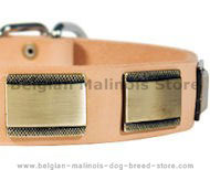 Designer dog Collar for Belg malinois-Leather Custo Designer dog Collar for Belg malinois-Leather Custo