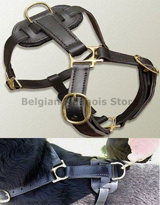 Best Leather tracking harnesses for Belgian Malinois