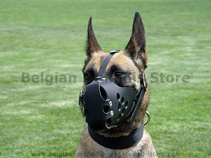 no barking dog muzzle