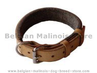 Leather Padded dog collar with thick felt Leather Padded dog collar with thick felt