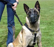 Luxury handcrafted leather dog harness made To Fit Malinois
