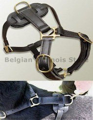 Best Leather tracking harnesses for Belgian Malinois Best Leather tracking harnesses for Belgian Malinois