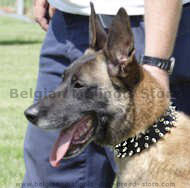 Leather Spiked Dog Collar-3 Rows of spikes Leather Spiked Dog Collar-3 Rows of spikes