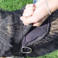 nylo dog harness with handle