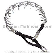 Dog pinch collar with nylon loop and quick release buckle Dog pinch collar with nylon loop and quick release buckle