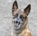 Schutzhund dog harnesses,Schutzhund dog muzzles,Schutzhund dog collars,Schutzhund dog leashes,Schutzhund Dumbbells for Belgian Malinois training Schutzhund dog harness,Schutzhund dog muzzle,Schutzhund dog collar,Schutzhund dog leads,Schutzhund Dumbbells for Malinois training