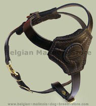Small Leather Dog Harness for Belgian Malinois puppy Small Leather Dog Harness for Belgian Malinois puppy
