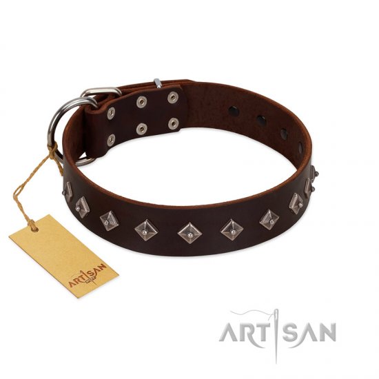 designer leather dog collars