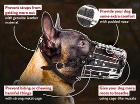 Kibble Holder - Chewing Belgian Malinois 【Toy】 'Yammy Bobbin' for  Medium-Size Dogs : Belgian Malinois Breed: Dog Harness, Belgian Malinois dog  muzzle, Belgian Malinois dog collar, Dog leash