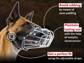 Kibble Holder - Chewing Belgian Malinois 【Toy】 'Yammy Bobbin' for  Medium-Size Dogs : Belgian Malinois Breed: Dog Harness, Belgian Malinois dog  muzzle, Belgian Malinois dog collar, Dog leash