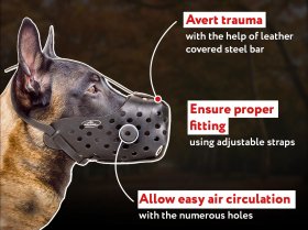 Kibble Holder - Chewing Belgian Malinois 【Toy】 'Yammy Bobbin' for  Medium-Size Dogs : Belgian Malinois Breed: Dog Harness, Belgian Malinois dog  muzzle, Belgian Malinois dog collar, Dog leash