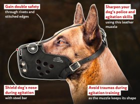 https://www.belgian-malinois-dog-breed-store.com/bmz_cache/8/832f5038819da3668eb120d6f3adf859.image.280x209.jpg