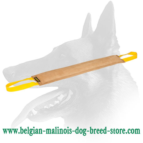 Kibble Holder - Chewing Belgian Malinois 【Toy】 'Yammy Bobbin' for  Medium-Size Dogs : Belgian Malinois Breed: Dog Harness, Belgian Malinois dog  muzzle, Belgian Malinois dog collar, Dog leash