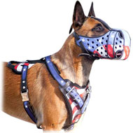 American Flag Leather Harness for Belgian Malinois American Flag Leather Harness for Belgian Malinois