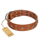 "Dreamy Gleam" FDT Artisan Tan Leather Belgian Malinois Collar Adorned with Stars and Squares "Dreamy Gleam" FDT Artisan Tan Leather Belgian Malinois Collar Adorned with Stars and Squares