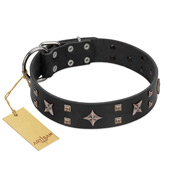 "Star Excitement" Modern FDT Artisan Black Leather Belgian Malinois Collar with Studs and Stars "Star Excitement" Modern FDT Artisan Black Leather Belgian Malinois Collar with Studs and Stars