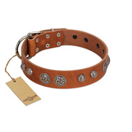 "Era Infinitum" FDT Artisan Tan Leather Belgian Malinois Collar Adorned with Chrome-plated Circles "Era Infinitum" FDT Artisan Tan Leather Belgian Malinois Collar Adorned with Chrome-plated Circles