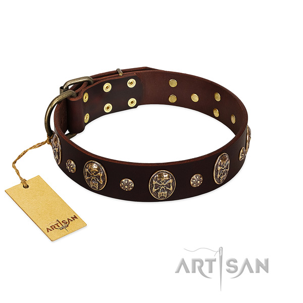 Stunning full grain leather collar for your dog