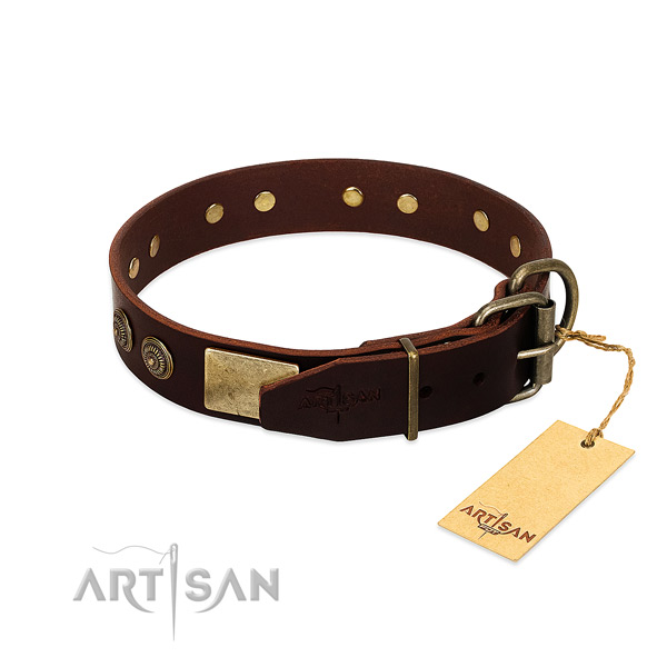Strong buckle on leather dog collar for your canine