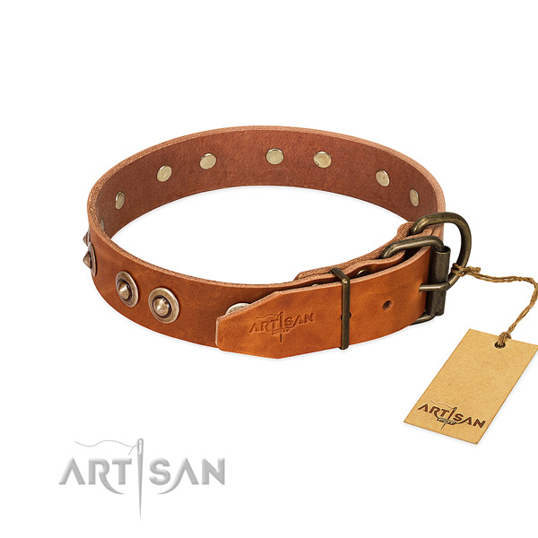 Corrosion proof D-ring on full grain natural leather dog collar for your canine