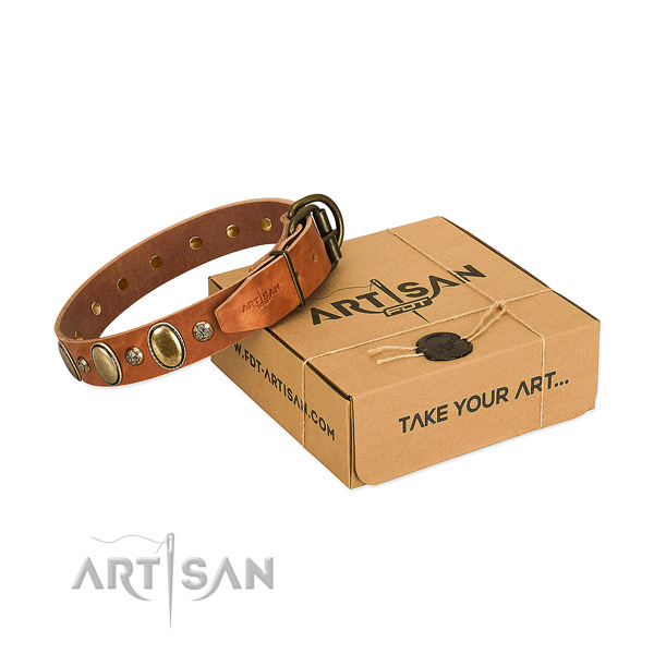 Decorated full grain genuine leather dog collar with reliable fittings